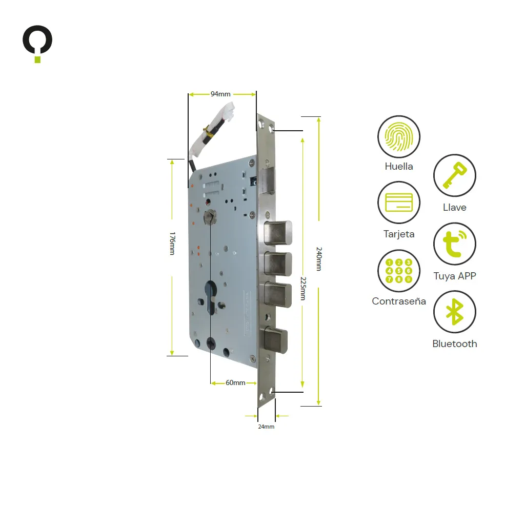 Mortise Modelo Singapur.webp